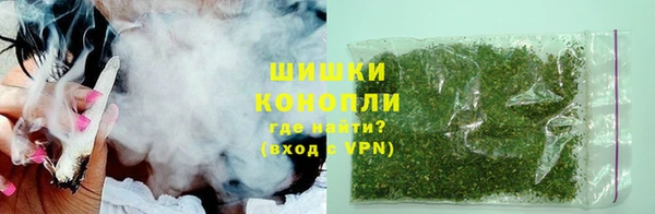 сатива Абинск