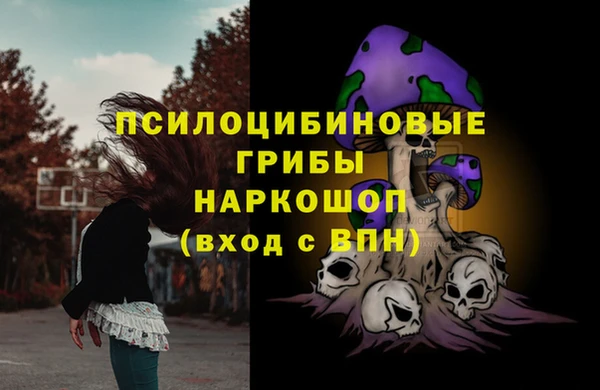 сатива Абинск