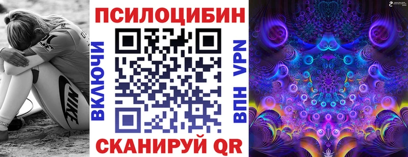 МЕГА как войти  Аксай  Псилоцибиновые грибы Cubensis 