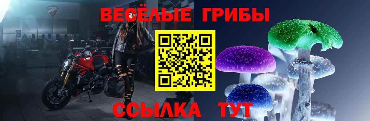 Галлюциногенные грибы GOLDEN TEACHER Аксай