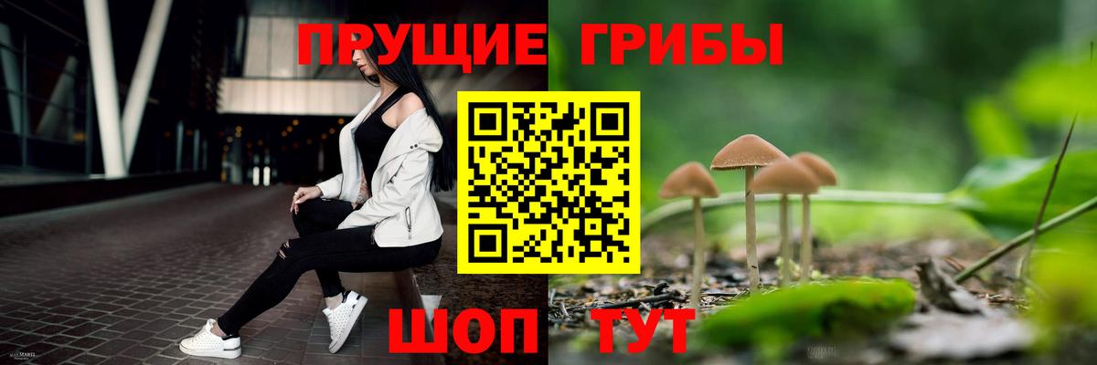 Галлюциногенные грибы Cubensis  Вход с VPN  Аксай 
